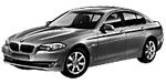 BMW F10 C1244 Fault Code