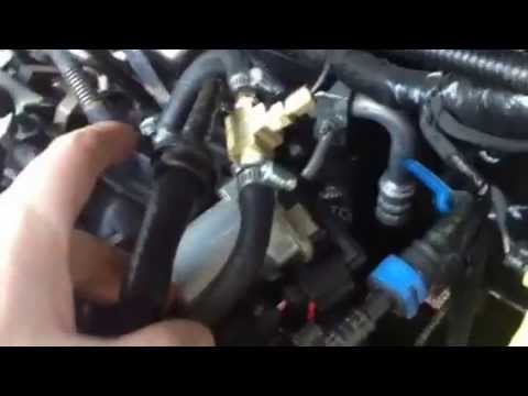 See C1244 repair manual